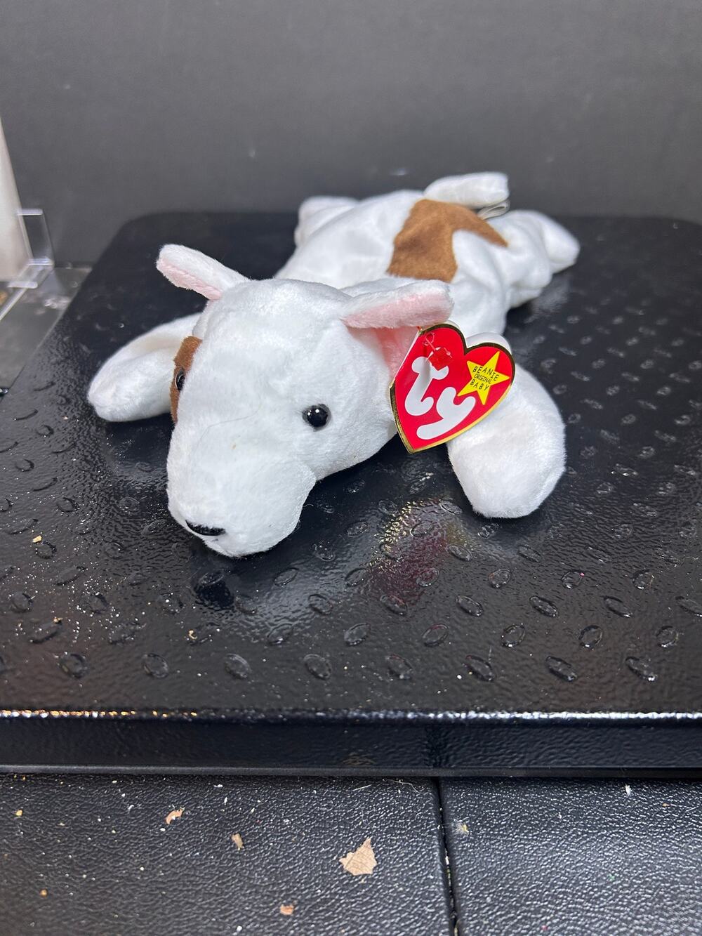 Butch, a Bull Terrier dog from the Ty Beanie Babies introduced in 1999